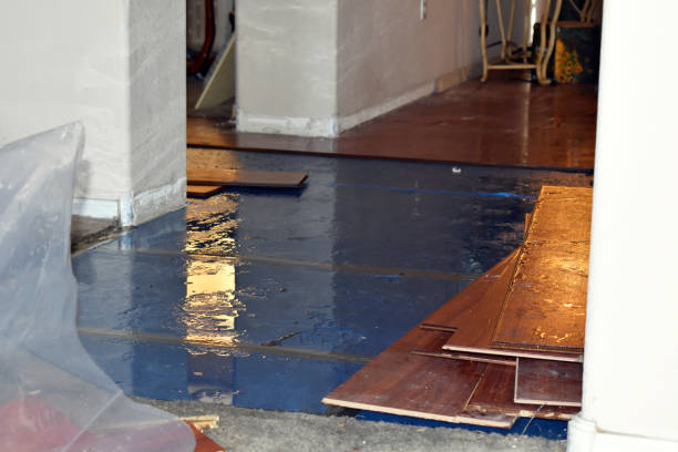 Professional Water Damage Restoration technician working in Arlington, OH
